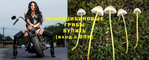 стафф Алексеевка
