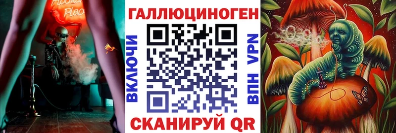 дарнет шоп  Покров  Галлюциногенные грибы Psilocybe 